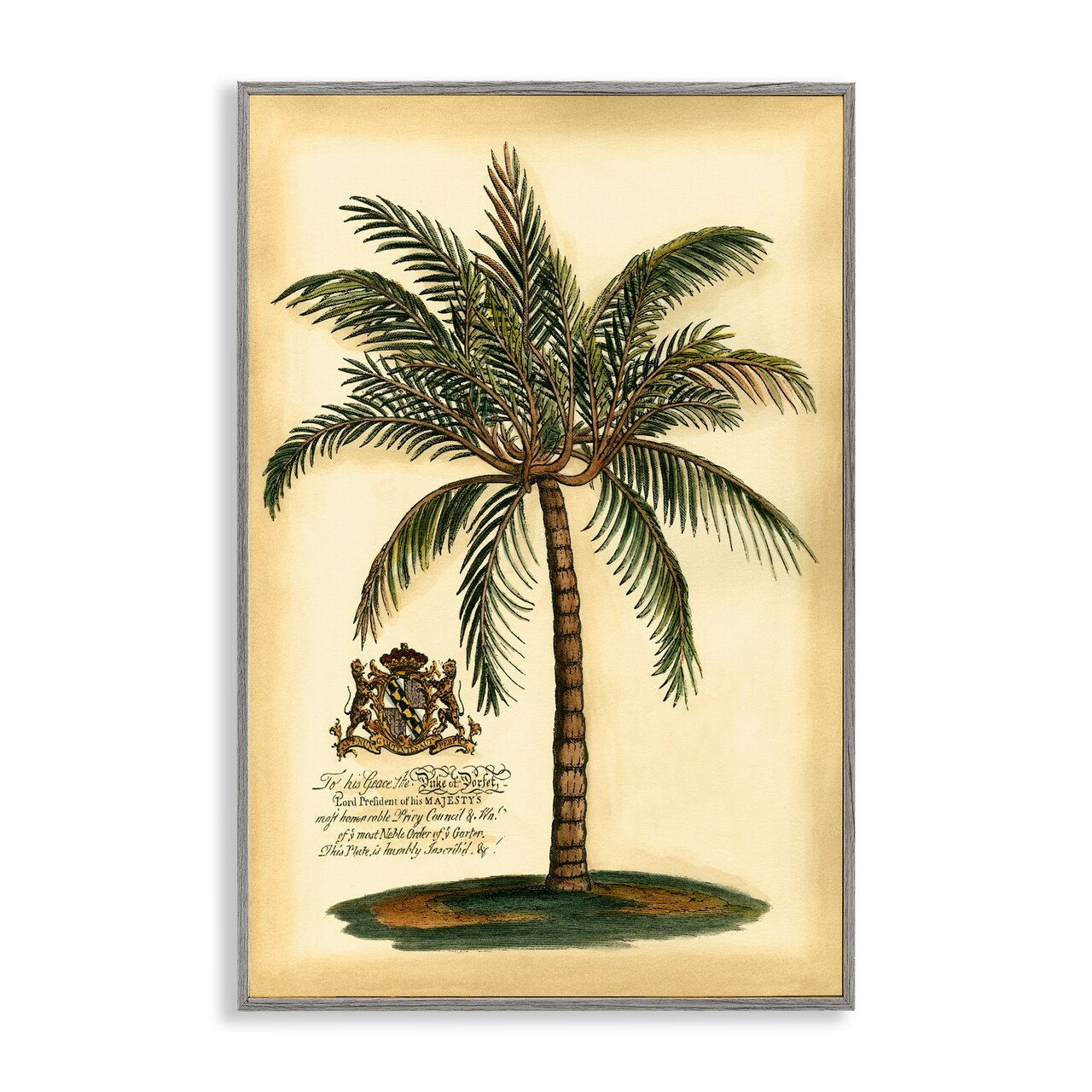 Stupell Industries British Colonial Palm Framed Giclee, design by Vision Studio
